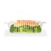 Estuche PET bisagra Bandex 144 (104) Estuche PET bisagra Bandex 144 (104)