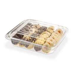 Estuche PET bisagra Bandex 146 (106)