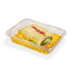 Estuche PET bisagra Bandex 147 (107)
